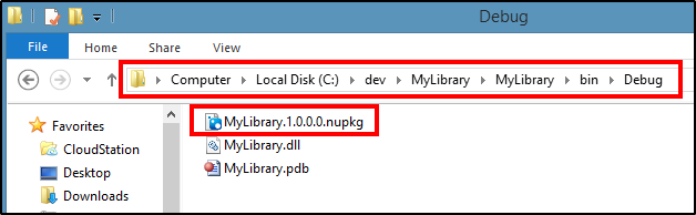 NuGet Package In Output Directory"
