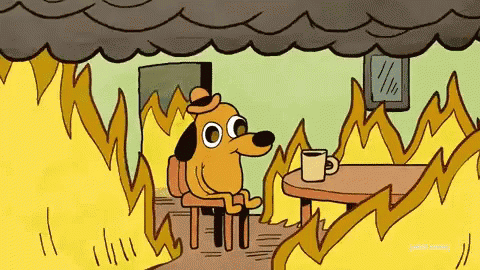 This is fine while everything is on fire